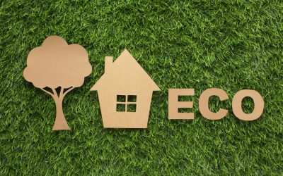 L’habitat écologique : les avantages et les défis de la construction écologique